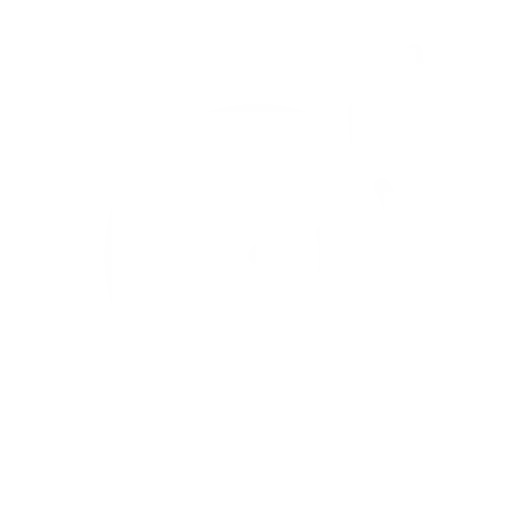 Our Mission