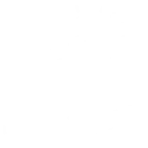 Our Vision